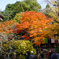 京都 泉涌寺1