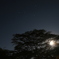 夜空