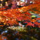 DSC03590