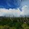 DSC03394