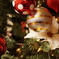 もうすぐクリスマス
