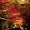 紅壁