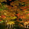 2013年　松雲山荘　紅葉　ライトアップ　鮮彩