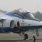 入間航空祭 2013