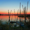 SUNSET　BOATS