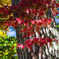 IMGP2848-2