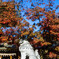 IMGP2854-2
