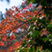 IMGP2872-2