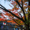 IMGP2886-2