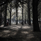 Park of the holiday