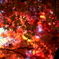 紅葉9