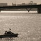 船と橋