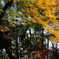 DSC01894