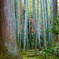 DSC01896