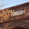 DSC01927
