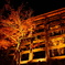 DSC01991
