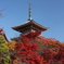 清水寺の三重塔、紅葉と青空。