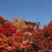清水寺の三重塔、紅葉の盛りに。