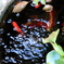 秋。金魚。