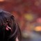 紅葉見に行こうよう