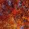 京都の秋(その５／紅葉乱舞）