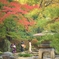 紅葉のある風景