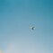 青空の点