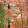 Fall