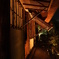京都・高台寺（夜間ライトアップ)⑧