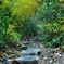 高尾山６号路