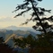 高尾山山頂から