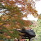三渓園の紅葉　2013.11.28
