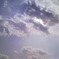 NEC_0181