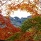 IMGP2877-1