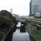 通い慣れた橋