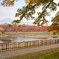 鴨川の秋 ／ Kamo-gawa River in Autumn