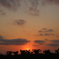 Sunset with Baobab