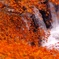 紅葉の川