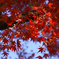 banshu2013_01