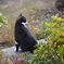 DSC00070