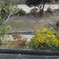 DSC00072