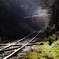 Railway Line