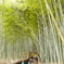 in嵐山