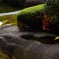 日本庭園