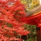 東福寺
