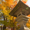 紅葉と灯篭