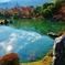天龍寺　曹源池の鯉　～京都嵐山晩秋紀行～