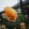 DSC05569