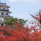 今治城