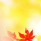 押し花
